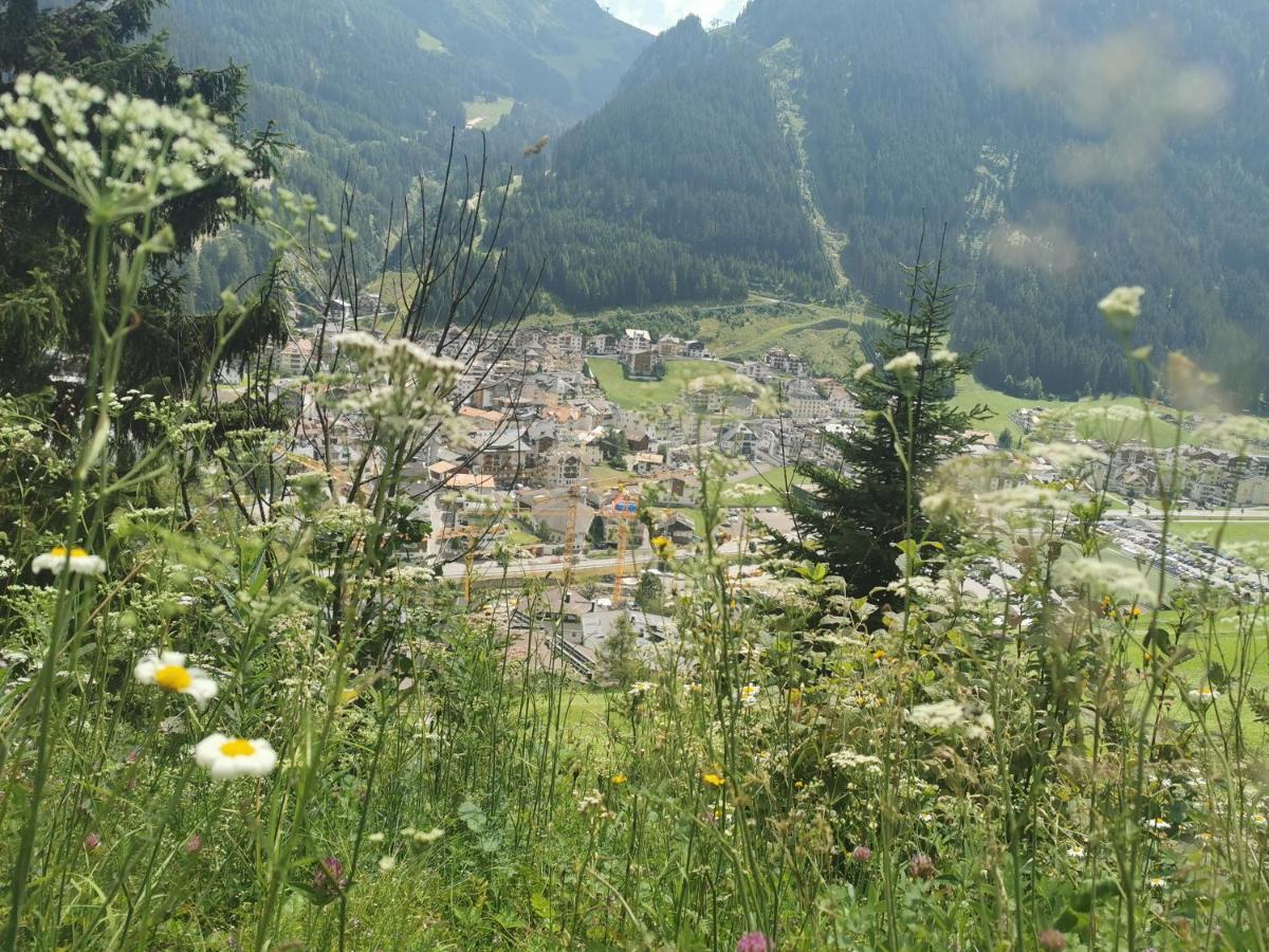 Almrausch * Ischgl